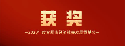 又得一獎！中水三立喜獲2020年度合肥市經(jīng)濟(jì)社會發(fā)展貢獻(xiàn)獎