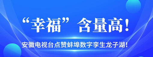 ?“幸?！焙扛撸不针娨暸_(tái)點(diǎn)贊蚌埠數(shù)字孿生龍子湖！